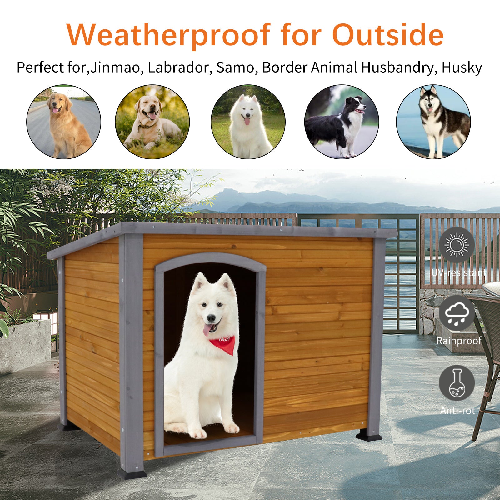 Wooden Dog House - Zoomies