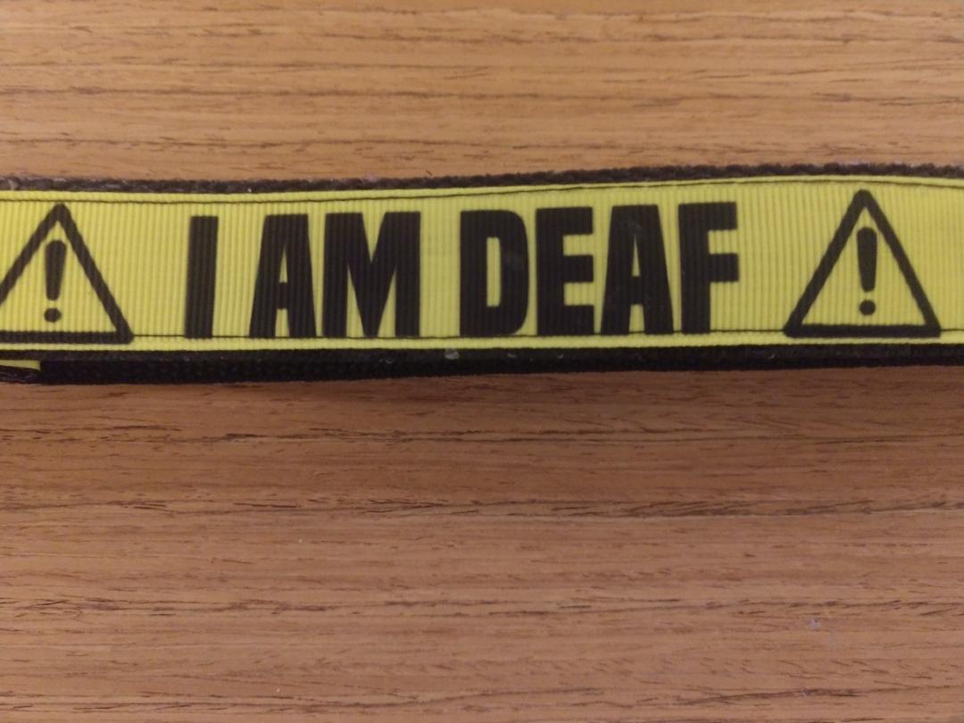 Leash/ Large/ Deaf