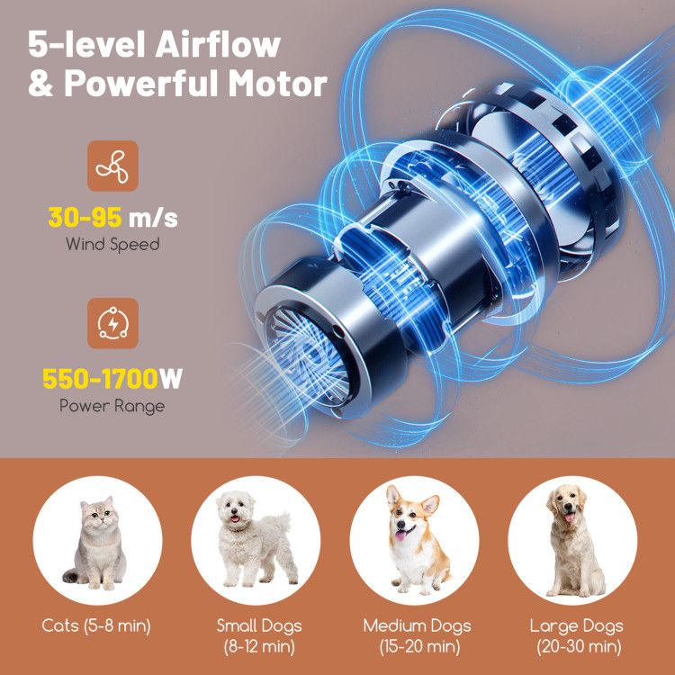 Pet Hair Blower - Zoomies