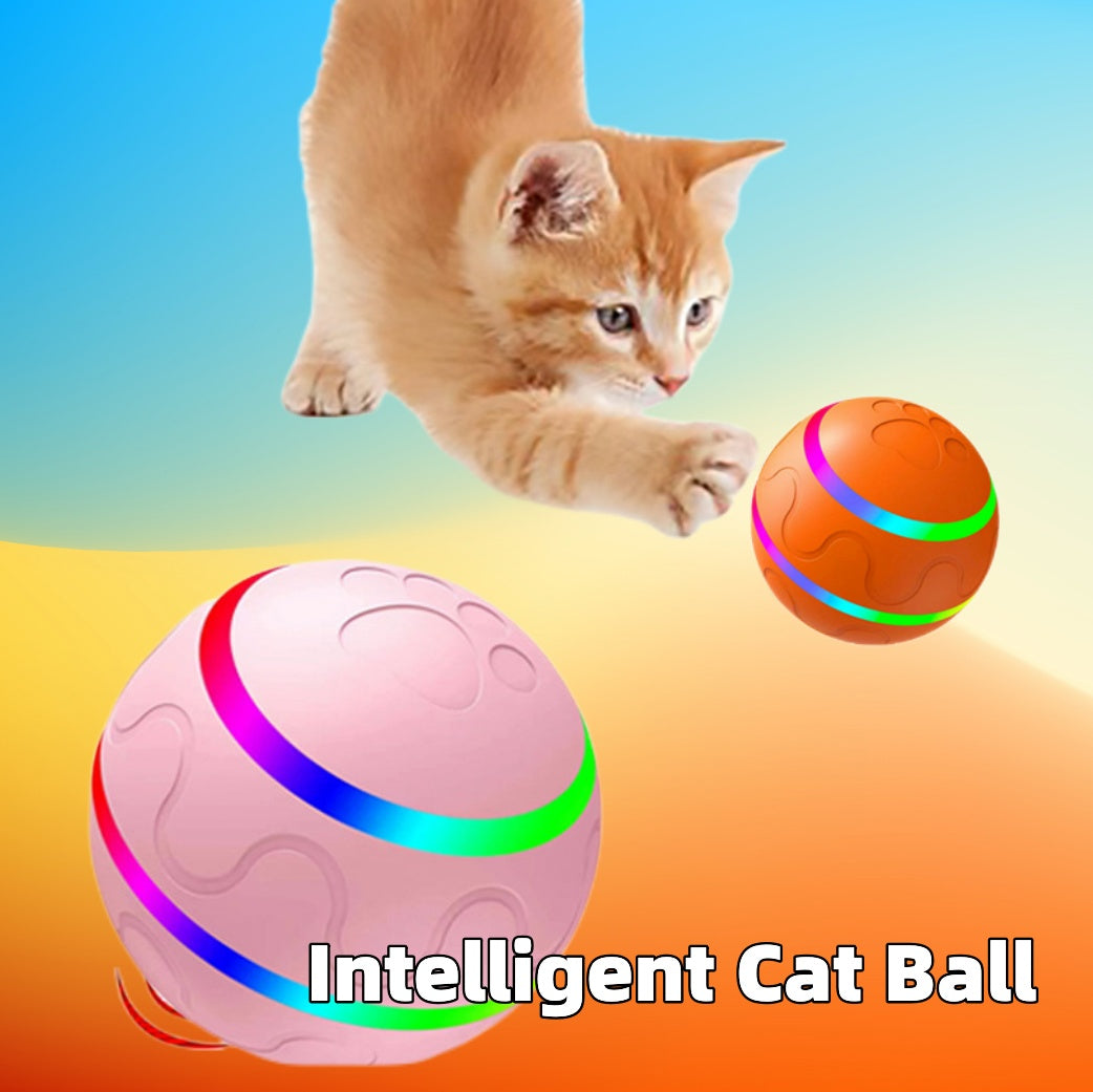 Pet Wicked Ball Toy - Zoomies
