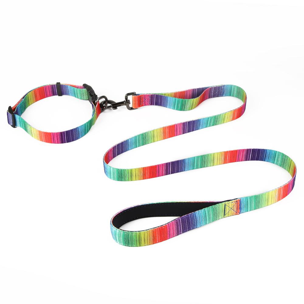 Matching Leash & Collars Set - Zoomies