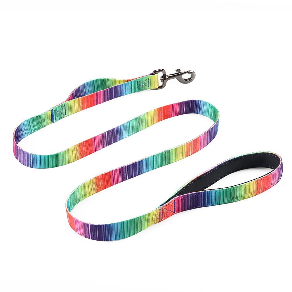 Matching Leash & Collars Set - Zoomies