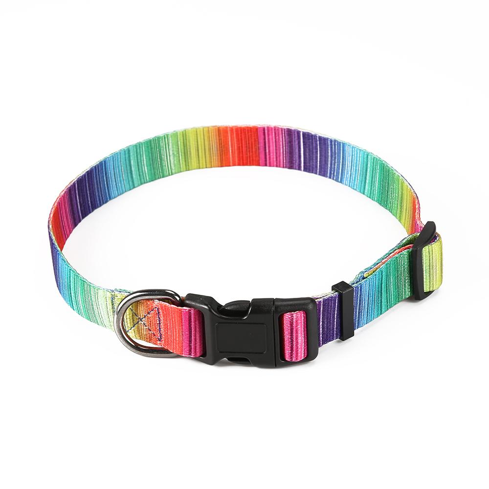 Matching Leash & Collars Set - Zoomies