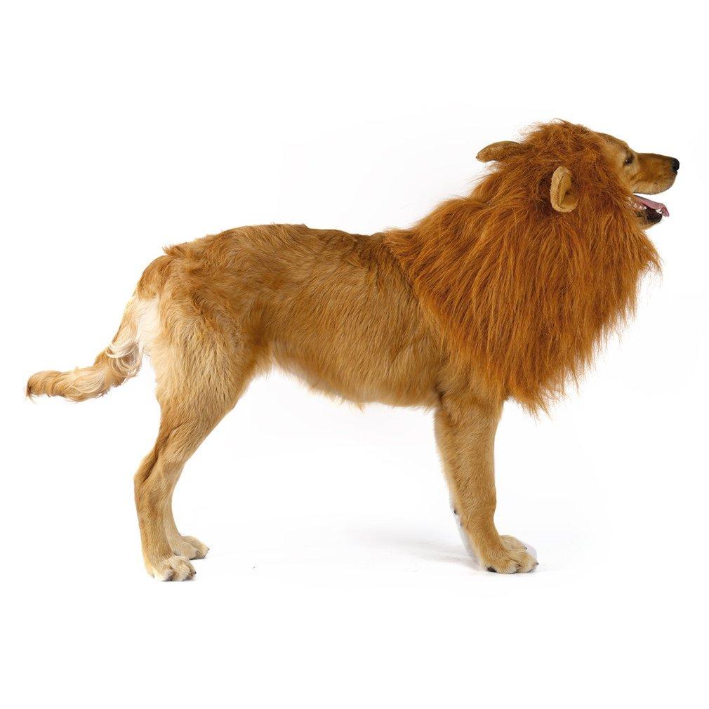 Lion Theme Dog Wig - Zoomies