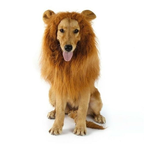 Lion Theme Dog Wig - Zoomies