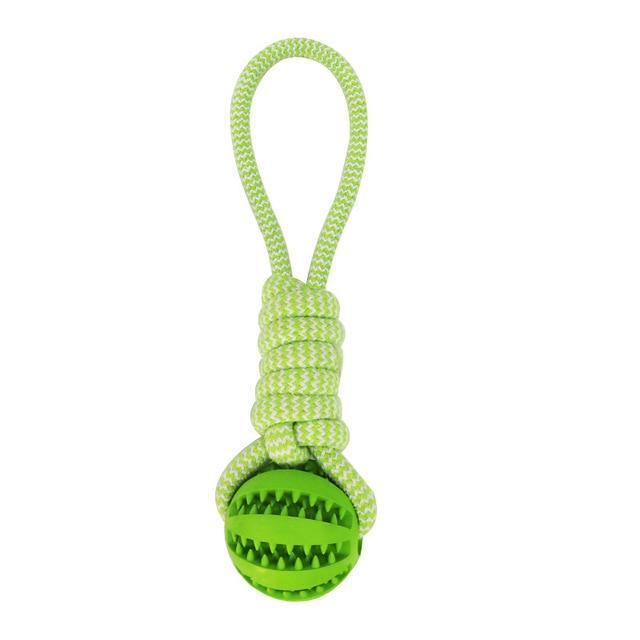 Durable Rubber Ball Chew Toy - Zoomies