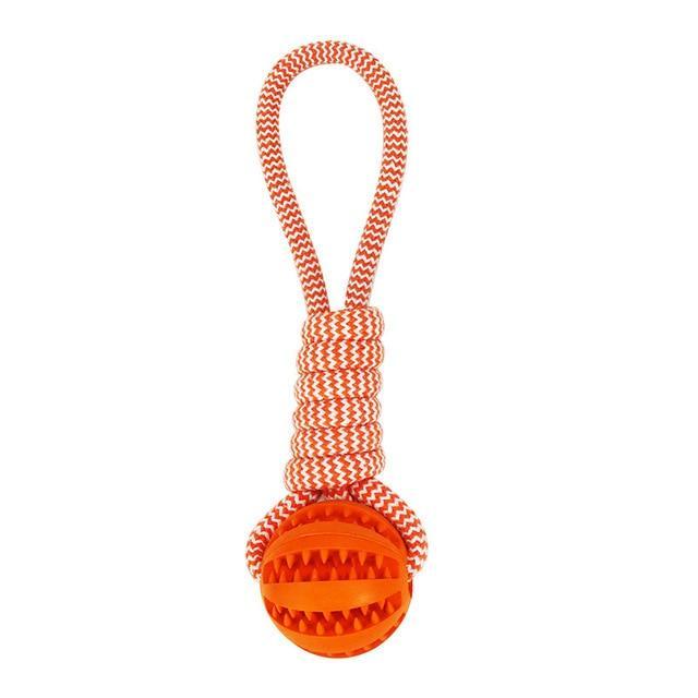 Durable Rubber Ball Chew Toy - Zoomies