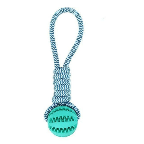 Durable Rubber Ball Chew Toy - Zoomies