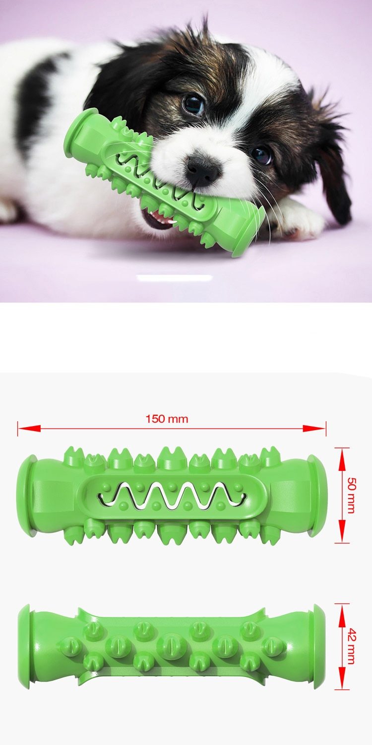 Chewing Toy - Zoomies