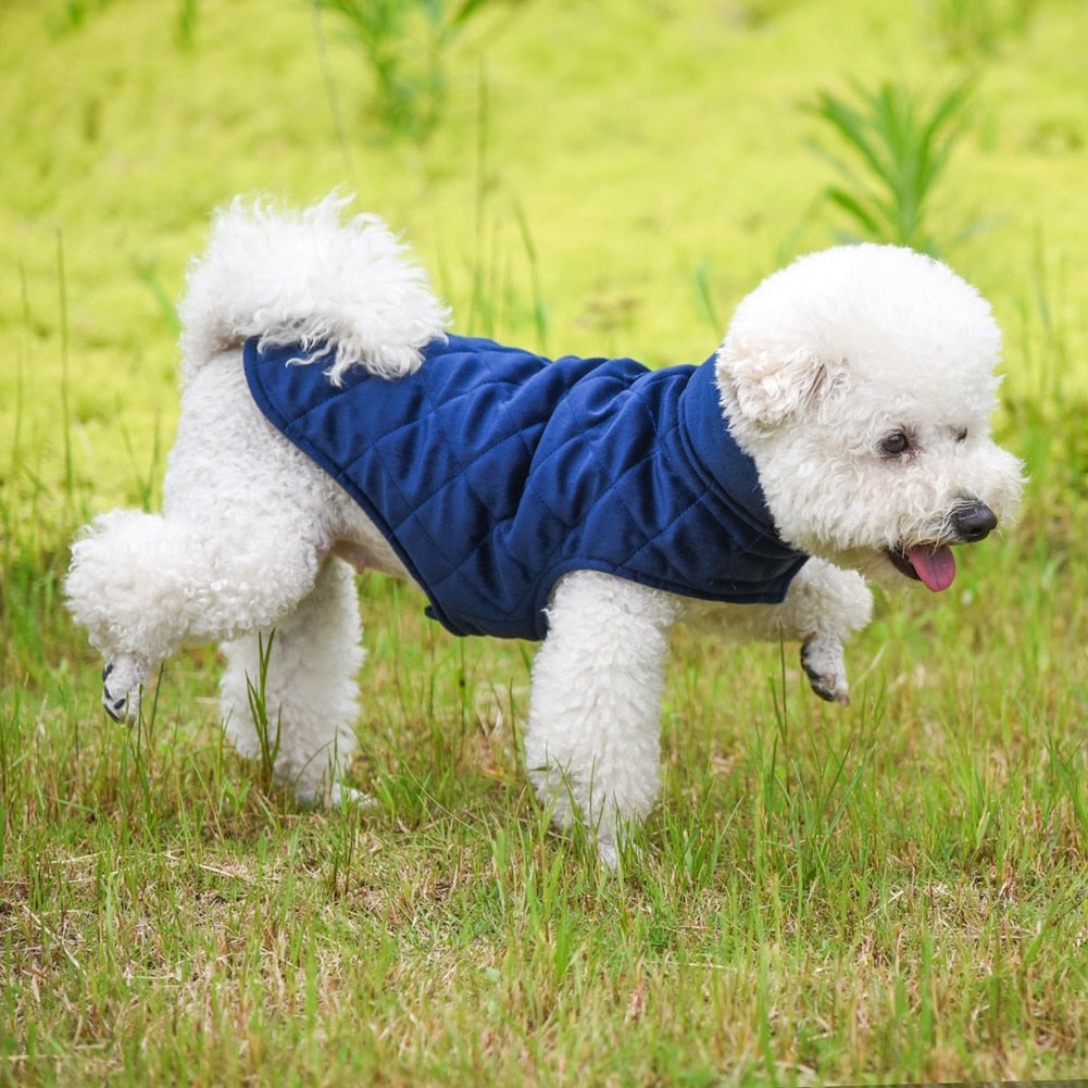 Dogs Winter Warm Vest - Zoomies