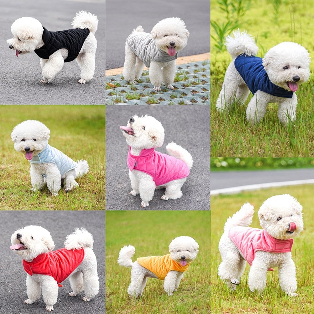 Dogs Winter Warm Vest - Zoomies