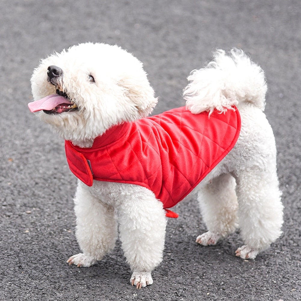 Dogs Winter Warm Vest - Zoomies