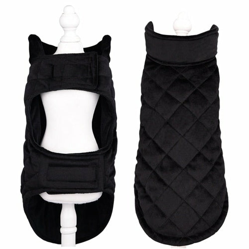 Dogs Winter Warm Vest - Zoomies
