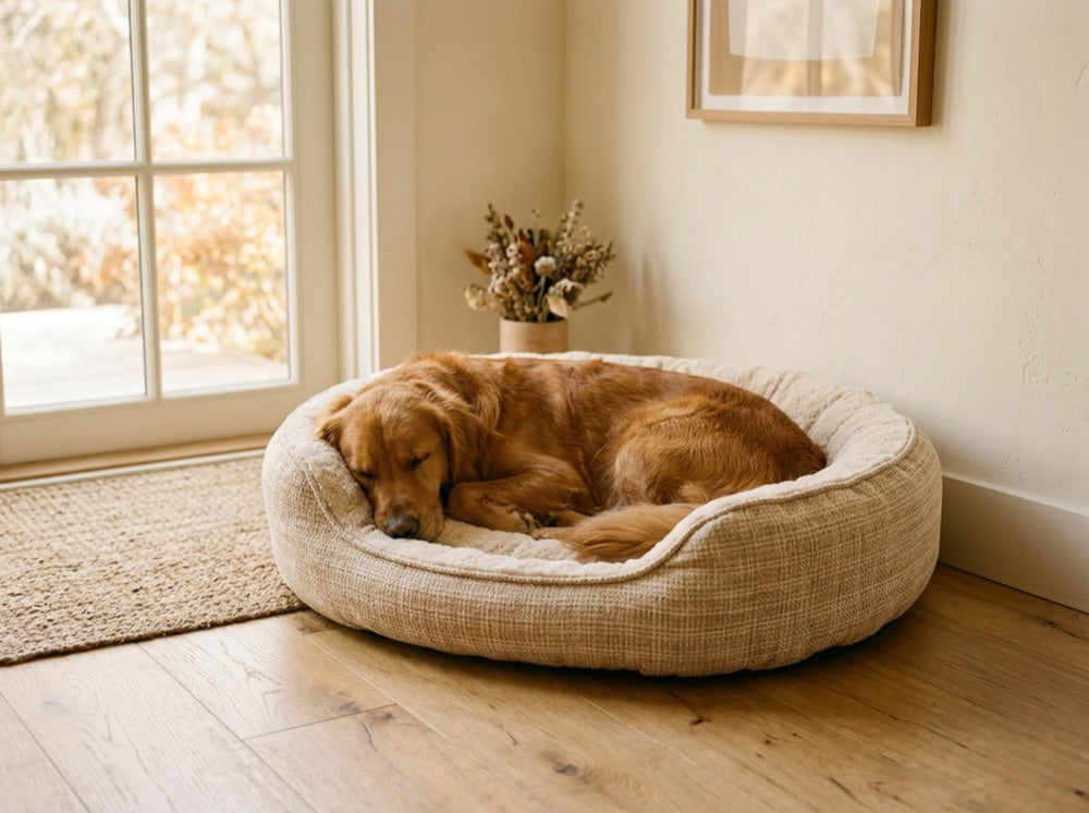 Sleep & Beds