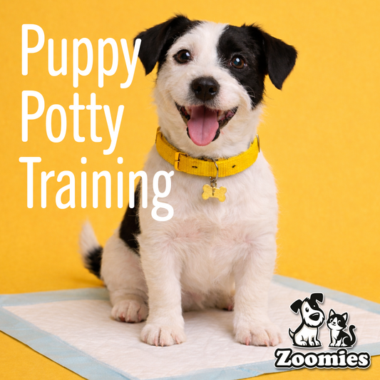 Puppy Potty Training: The Do’s & Don’ts (Without Losing Your Mind)