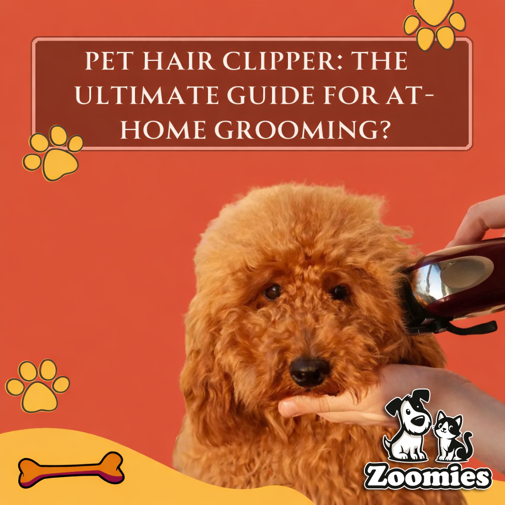 Pet Hair Clipper: The Ultimate Guide for At-Home Grooming?
