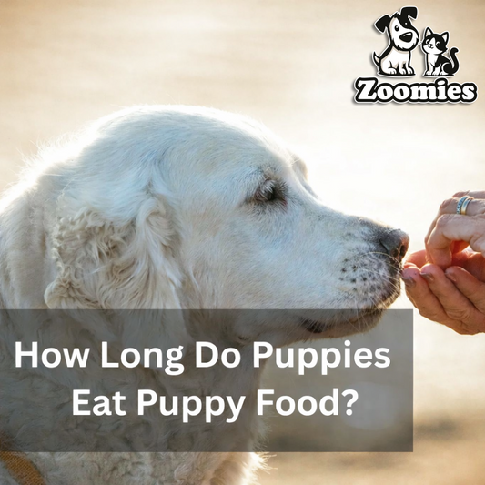 How Long Do Puppies Eat Puppy Food?