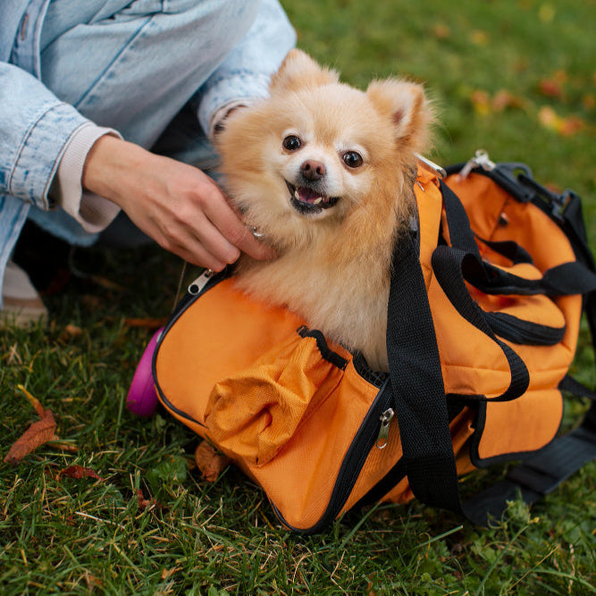 Travel Carrier