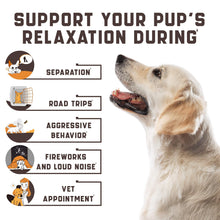 Calming Chews for Labrador Dogs - Zoomies