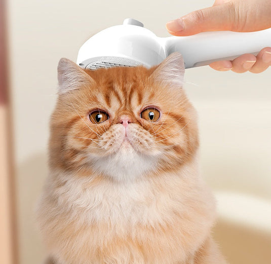 Pet Comb Brush - Zoomies