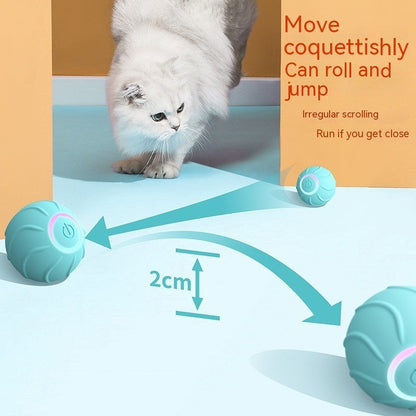Rolling Ball Interactive Pets Toys - Zoomies