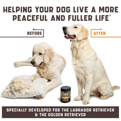 Calming Chews for Labrador Dogs - Zoomies