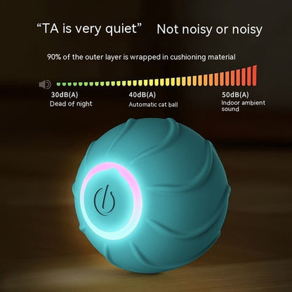 Rolling Ball Interactive Pets Toys - Zoomies
