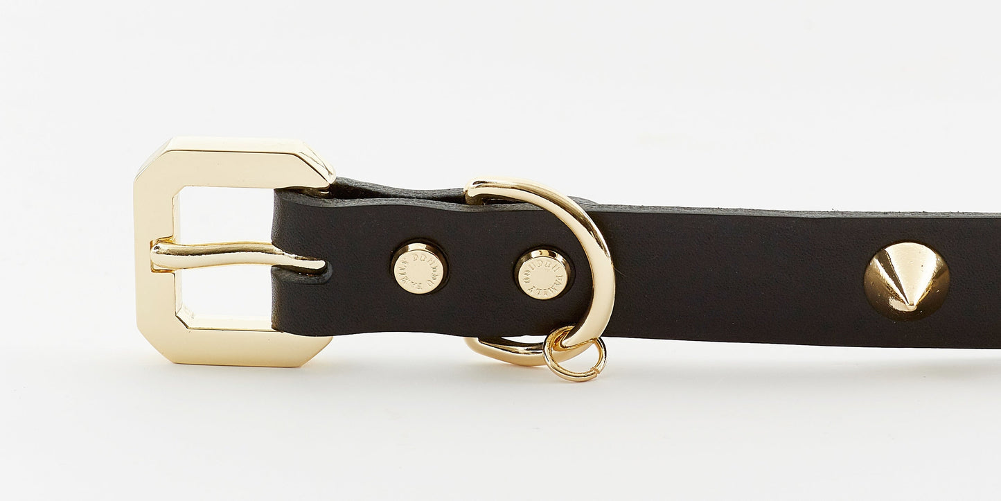 Golden Spike Black Collar - Zoomies