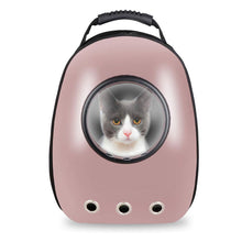 Pet Hardshell Traveling Backpack - Zoomies
