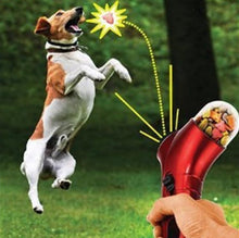 Pet Food Catapult Feeder - Zoomies