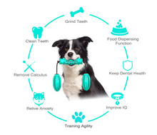 Dog Chew Toys Pet Toothbrush - Zoomies