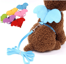 Little Angel Wings Pet Leash - Zoomies
