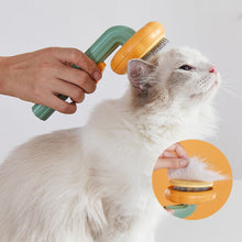 Pet Pumpkin Brush - Zoomies