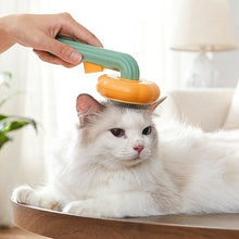 Pet Pumpkin Brush - Zoomies
