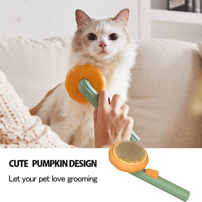 Pet Pumpkin Brush - Zoomies