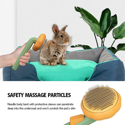 Pet Pumpkin Brush - Zoomies