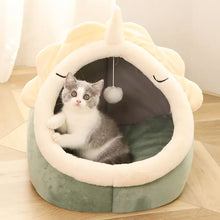 Adorable Dinosaur Pet House - Zoomies