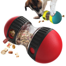 Food Dispensing Toy - Zoomies