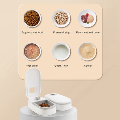 Smart Food Dispenser - Zoomies