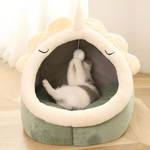 Adorable Dinosaur Pet House - Zoomies