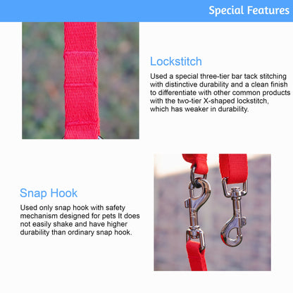 Lof Folding Lead Leash - Zoomies
