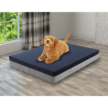 Memory Foam Dog Bed - Zoomies
