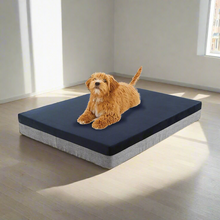 Memory Foam Dog Bed - Zoomies