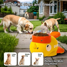 Dog Puzzle Feeder - Zoomies