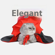 Halloween Pet Clothes - Zoomies