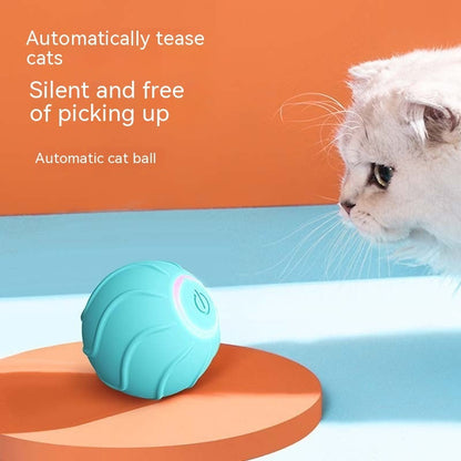 Rolling Ball Interactive Pets Toys - Zoomies