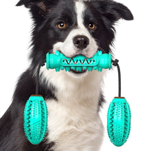 Dog Chew Toys Pet Toothbrush - Zoomies