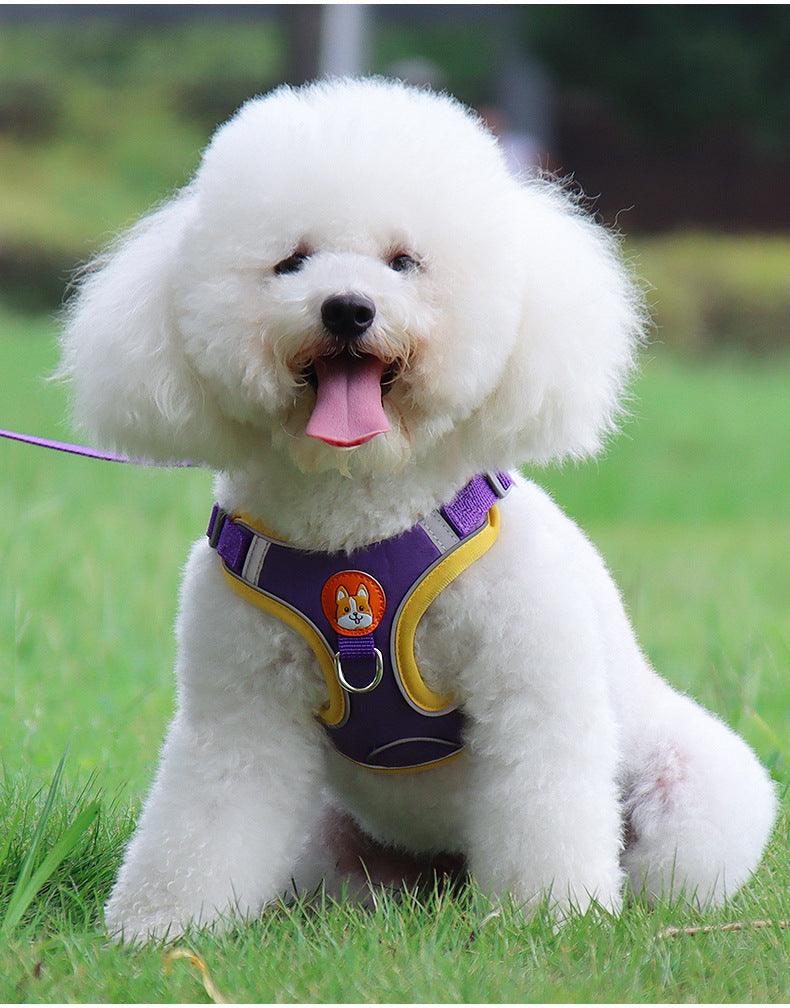 Ultimate Comfort And Safety Pet Harness Set - Zoomies
