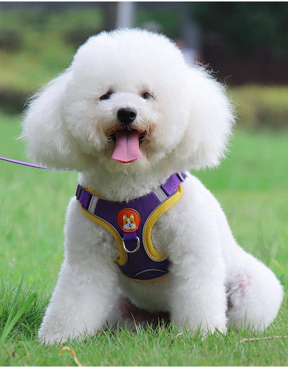 Ultimate Comfort And Safety Pet Harness Set - Zoomies