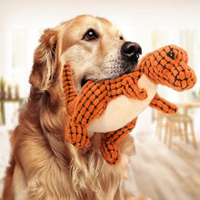 Dinosaur Pet Toys - Zoomies